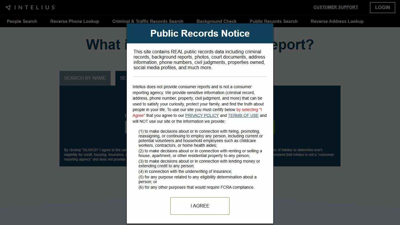 Intelius Phone Reports: What You Can Find